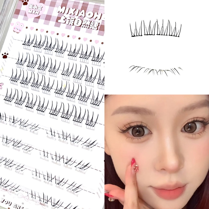 Individual Lash Tray - Mixiaohe Şeffaf Karışık Kıvrımlı Üst Kirpik